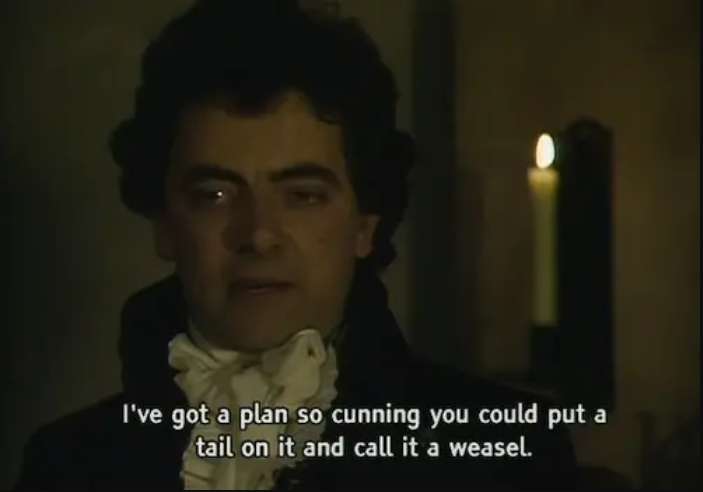 Blackadder saying: I've got a plan so cunning you could put a tail on it and call it a weasel